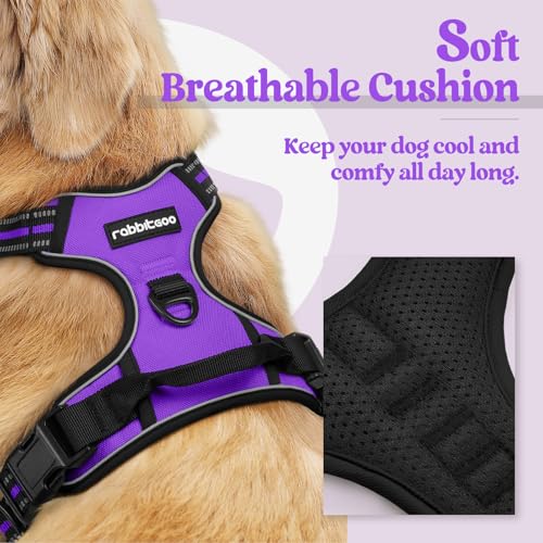 Rabbitgoo No-Pull Dog Harness, Adjustable Soft Padded Vest for Large Dogs, Purple, Size L  
Rabbitgoo Reflective Dog Har