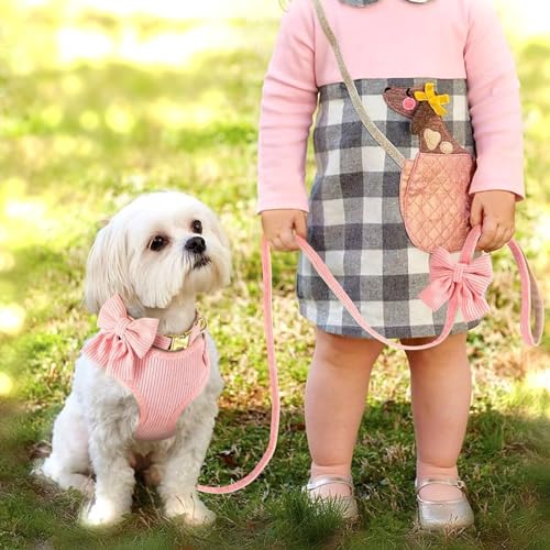 Didog Adjustable Dog Collar Harness & Leash Set, Breathable Soft Mesh Padded Dog Vest for Small Dogs, Pink, Size S  
Did