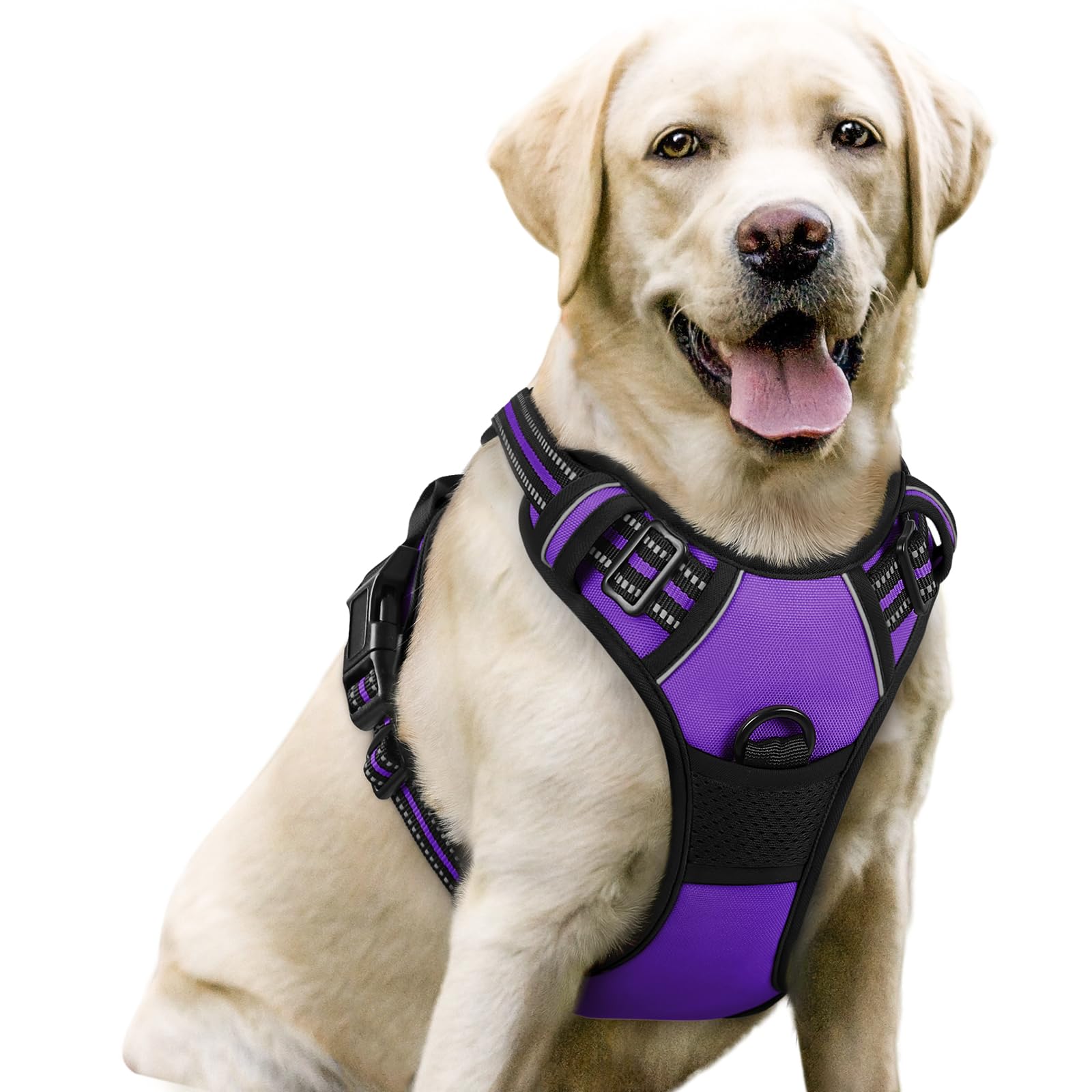Rabbitgoo No-Pull Dog Harness, Adjustable Soft Padded Vest for Large Dogs, Purple, Size L  
Rabbitgoo Reflective Dog Har